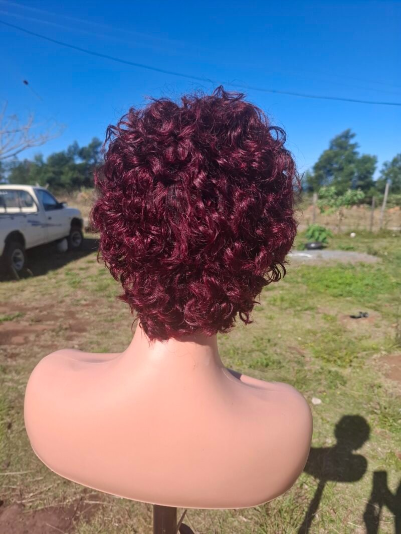 burgundy curly pixie cut full Frontal - Image 4